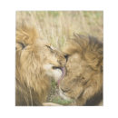 Suche nach leo notizblock Kenia