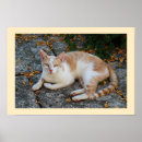 Recherche de chanceux photographie Mignon