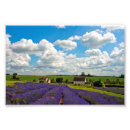 Suche nach lavendelfeld poster Landschaft
