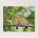 Recherche de oiseaux colorés puzzles Couleurs vives