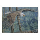 Suche nach weisskopfseeadler postkarten Raubvögel