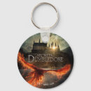 Suche nach dumbledore poster Zaubernde welt