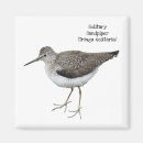 Recherche de bene magnets Oiseau