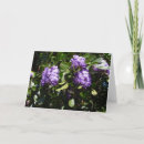 Suche nach lila berge karten Blume