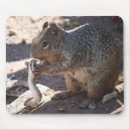 Recherche de sonnette tapis souris Serpent