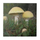 Recherche de tabouret carreaux Nature