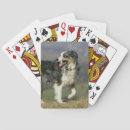 Recherche de culottes jeux de cartes Photographe canin