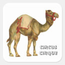 Suche nach vintager zirkus aufkleber Kamel