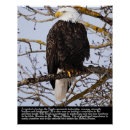 Recherche de aigle posters Oiseau