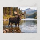 Recherche de orignal cartes postales Eau