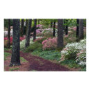 Suche nach callaway gärten poster Frühling