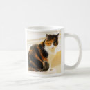 Recherche de chat de calicot tasses Animaux familiers