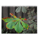 Suche nach pflanzen kalender Flora