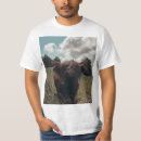 Suche nach schottische tshirts Hochlandkuh