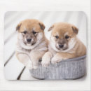 Suche nach badewanne mousepads Hund