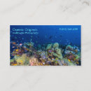 Recherche de poissons tropicaux cartes visite Corail