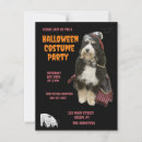 Suche nach orange halloween postkarten Lustig