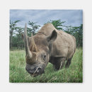 Suche nach nashörner magnete Rhinoceros