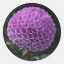 Suche nach dahlie aufkleber Mit blumen