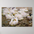 Suche nach mensing poster Galerie