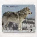 Suche nach wilder wolf mousepads Tierwelt