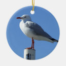 Suche nach seemöwen ornamente Möve