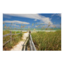 Suche nach strandhafer poster Zaun