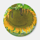 Suche nach grinsen magnete Emoticon