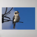 Recherche de pêcheur à posters Nature