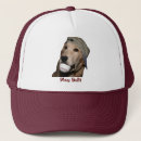 Recherche de golden retriever casquettes Chien