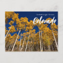 Recherche de arbre peuplier cartes postales Colorado