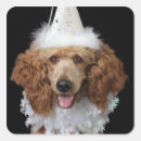 Recherche de image de chien autocollants Humour