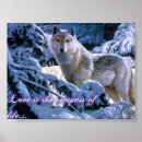 Recherche de loup posters Neige