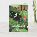 Suche nach grüne pflanze karten Rosa