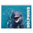 Recherche de dauphins calendriers Photographie