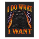 Suche nach coole katze poster Katze mit sonnenbrille