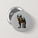 Recherche de t rex badges Boy
