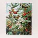 Recherche de hummingbird puzzles Oiseau