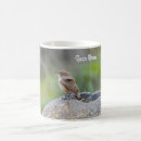 Suche nach wren tassen Vogelvogel