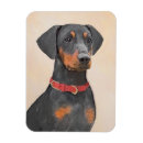 Recherche de pinscher magnets Dog