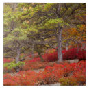 Suche nach acadia fliesen Herbst