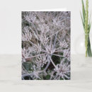Suche nach frost karten Blume