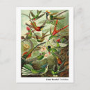 Suche nach ernst von haeckel postkarten Kolibris