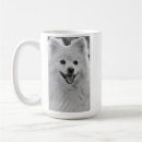 Recherche de spitz tasses Animal