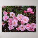 Recherche de jeanne posters Nature