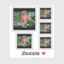Recherche de zen rose autocollants Floral