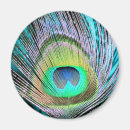 Suche nach peacock magnete Bunt
