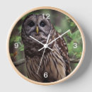 Recherche de la chouette horloges Faune