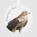 Suche nach falken ornamente Natur