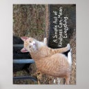 Suche nach traurige katze poster Ingwerkatze